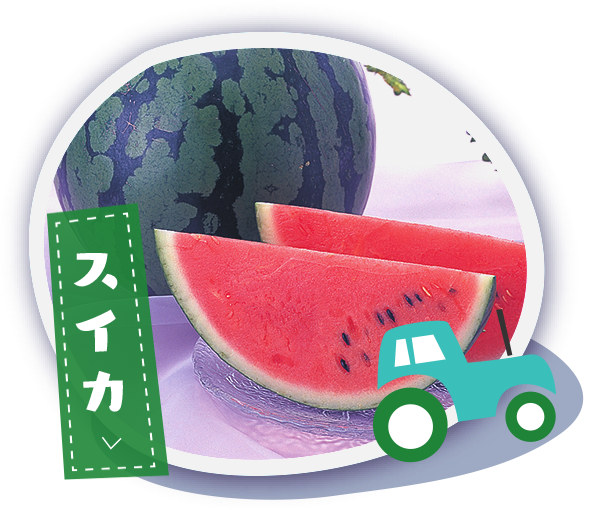 スイカ